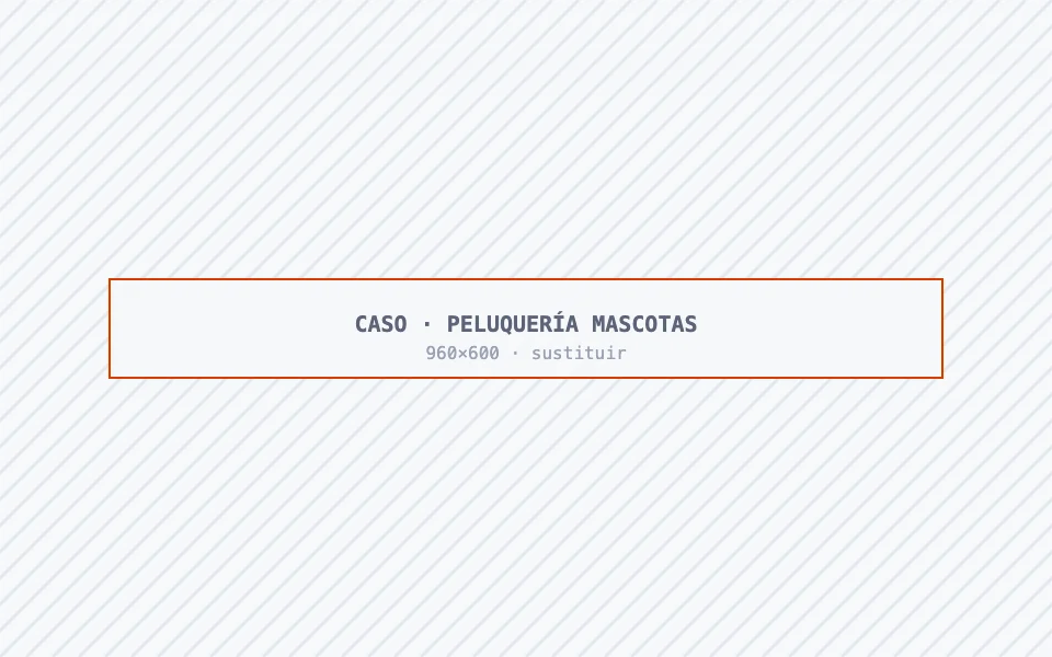 Peluquería canina de la Comunidad de Madrid que llenó su agenda tras la consultoría de Más Ingresos